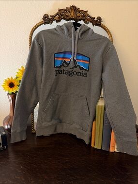 Patagonia Gray Hoodie with Multicolor Mountain Logo